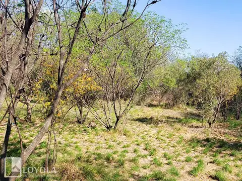 Terreno en Venta de 4598,0 m2