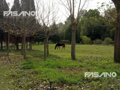 José María Castaños al 300