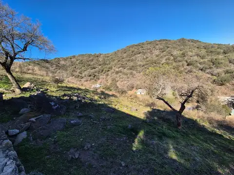 VENTA CASA CAMPO 4.5 HAS COLANCHANGA RIO CEBALLOS