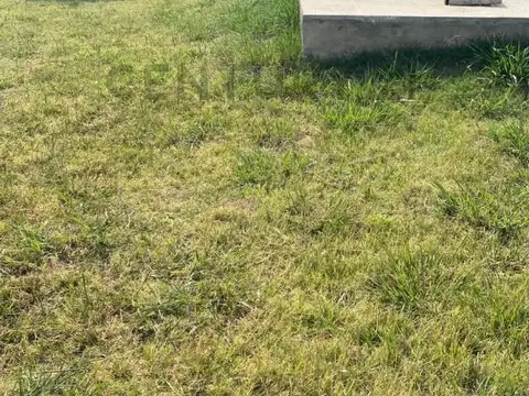 Quinta en Venta en Carmen de Areco, USD 43.000