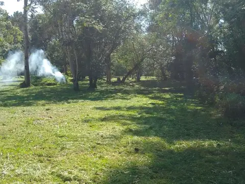 Lotes ideales para proyectos ecosustentables