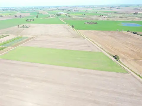Campo - Venta - Argentina, General Lagos