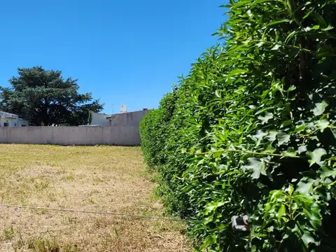 Terreno en Venta de 799,0 m2