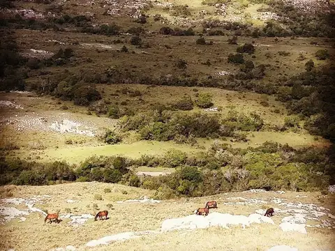 Quinta en Venta en Aigua, USD 145.000