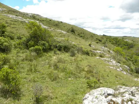 Chacra en sierras del Catedral 10ha