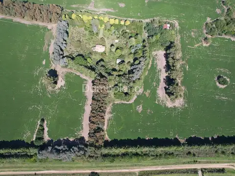 Colectora Acceso Oeste y Ruta Nacional N° 7 100