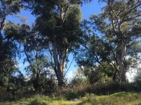 Terreno en Venta de 616,0 m2