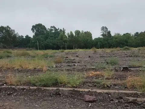 Barrio Estancia Romero Day