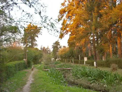 Casa en Venta de 1 dormitorio