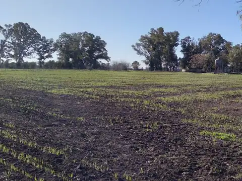 CAMPO - FRACCION DE 7.24 HAS.