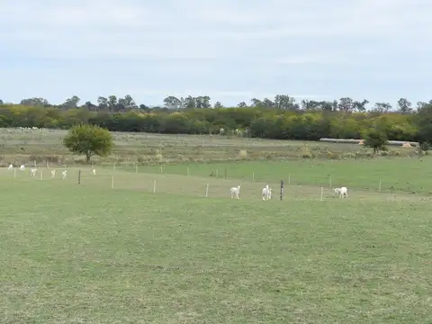 Venta Campo de 56 hectáreas en ruta 34, Pilar, GBA Norte