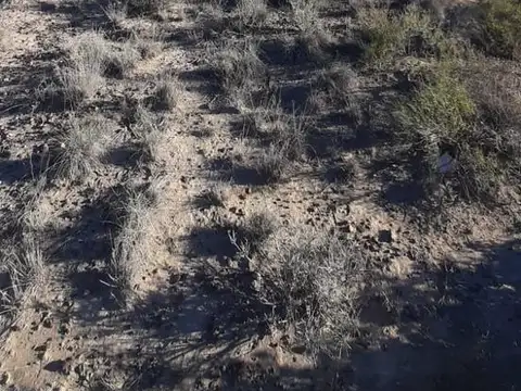 Terreno en Venta 16  mts Frente