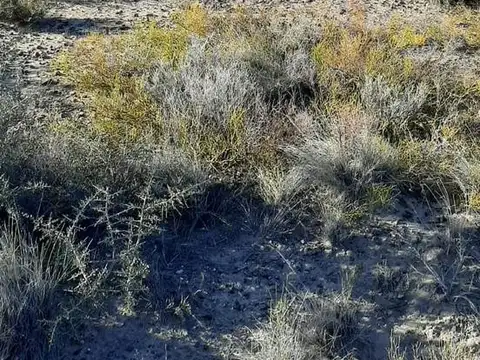 Terreno en Venta en Balneario las Grutas, USD 40.000