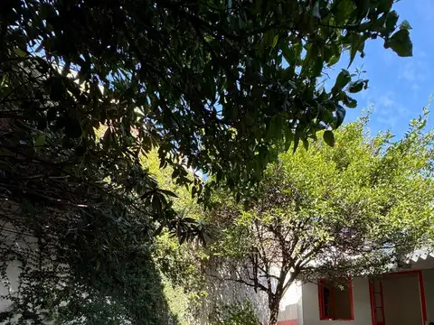 Oficina en Alquiler A Estrenar