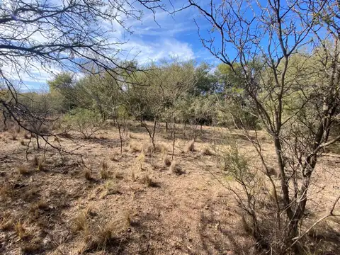 Terreno en Venta de 25000,0 m2