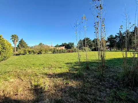 Terreno en Venta 20  mts Frente