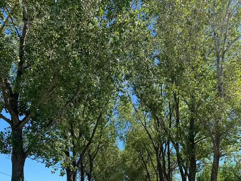 Terreno en Venta en Canning, USD 46.000