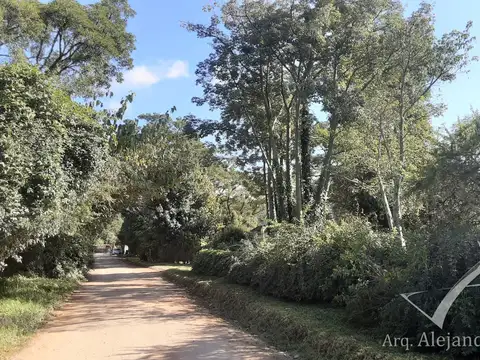 c julio castellanos 700