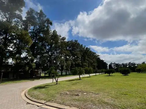 Terreno en Venta en Fighiera, USD 75.000