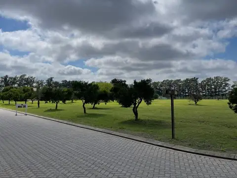 Terreno en Venta de 12000,0 m2