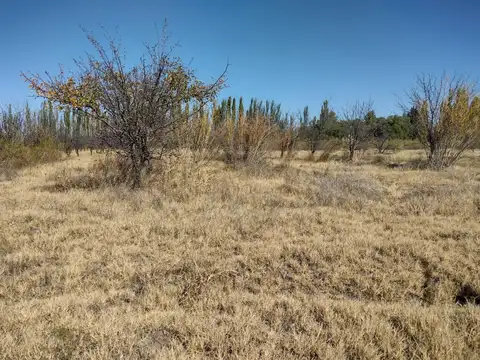 VENDO 5 HECTAREAS SOBRE RUTA PROVINCIAL N° 160