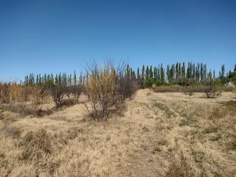 Terreno en Venta en San Rafael, USD 50.000