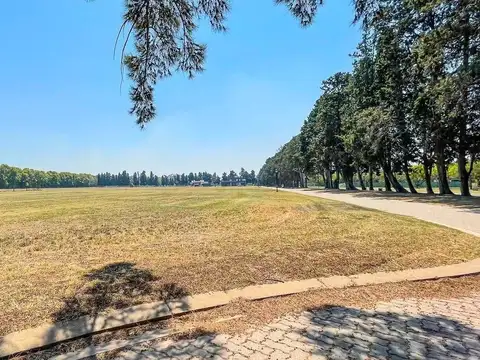 Azahares del parana - Fighiera