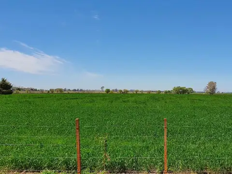 Terreno en Venta de 13000,0 m2