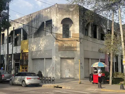 CAMINO CENTENARIO /419 (ARANA)