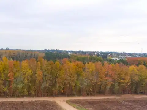 Lotes sin anticipo y con cuotas en pesos Matheu Escobar