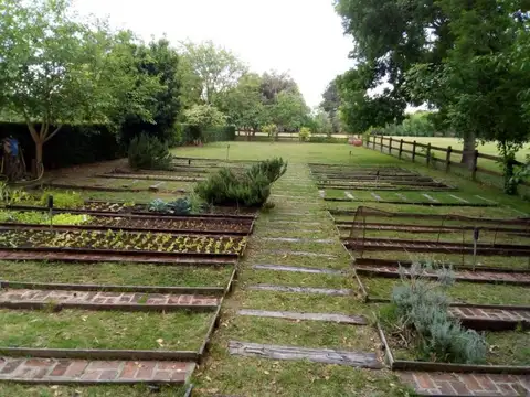 Terreno en Venta en Manzanares, USD 1