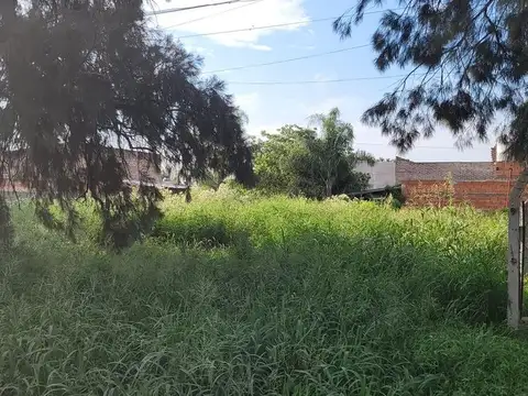Lote en Adelina Centro, Santo Tomé
