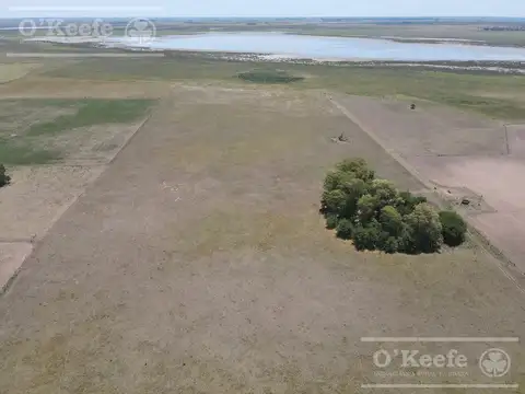 Campo en venta mixto de 72 has en Saladillo. A 3000 mts de Ruta