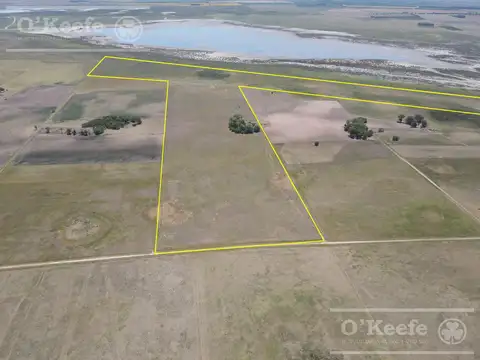 Campo Mixto de 72 has en  Saladillo