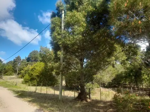 Terreno en Venta 40  mts Frente