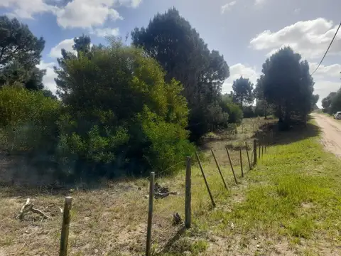 CALLE 27 (AV. ALMTE. BROWN)