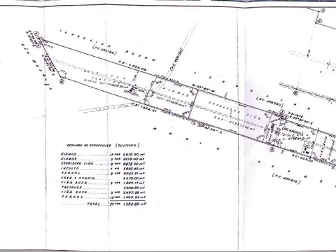 Finca 57ha. Palmira - San Martín