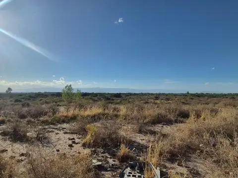 Carril San Pedro S/Nº