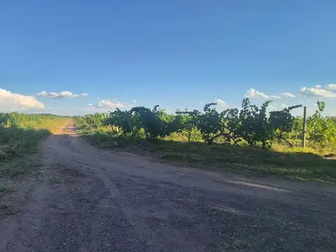 Carril San Pedro S/Nº