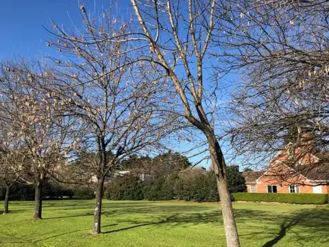 Terreno en Venta de 1850,0 m2