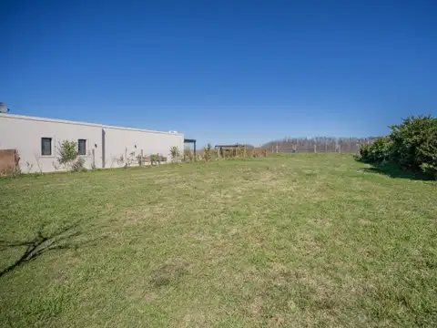 Lote Nuestra Señora de la Paz – San Sebastián (Zelaya, Pilar)