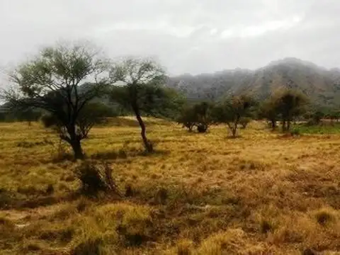 Terreno en Venta 475  mts Fondo