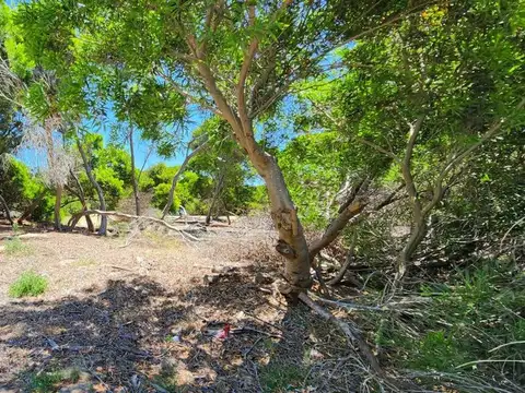 LOTE EN VENTA EN PUNTA MÉDANOS. Acepta vehículo