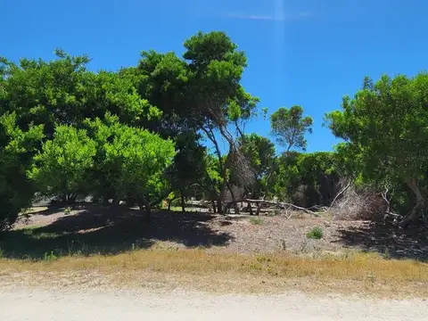 Terreno en Venta de 800,0 m2