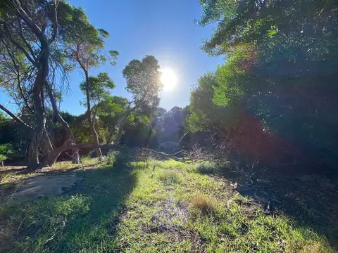 Terreno en Venta en Punta Medanos, USD 24.000