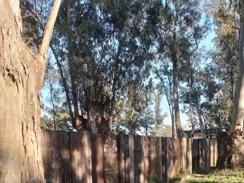 Mgm. Venta Precioso Terreno Barrio Ecoislandia