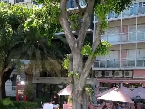 Departamento en Alquiler al Noreste