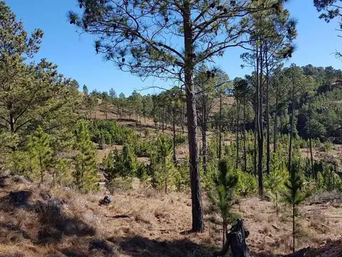 Fracciones en El Durazno, con costa de arroyo. Cód (3110)