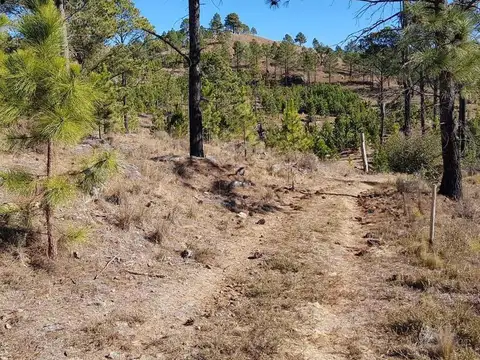 Fracciones en El Durazno, con costa de arroyo. Cód (3110)