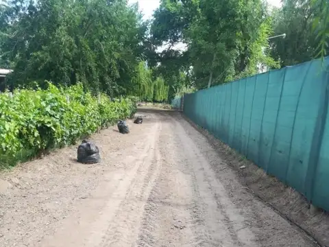 FINCA EN VENTA, MENDOZA SAN MARTIN